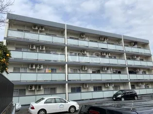 ソフィアライトの画像