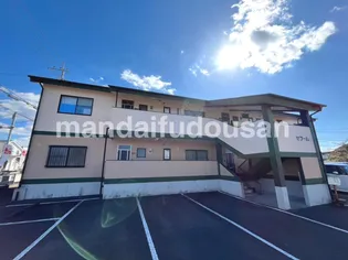 セラームの画像