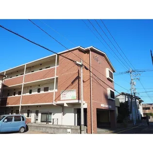 シュロスMの画像