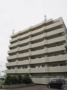 MSフローリッシュの画像