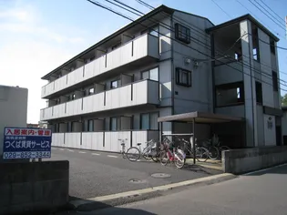 茨城県つくば市天久保2【マンション】の外観