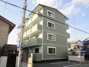エルーセラの画像