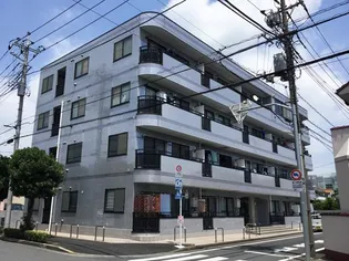 エーデルブルーメスズキの画像