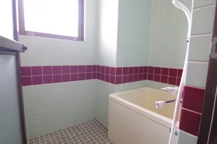 ハイム七枝【2階】の風呂