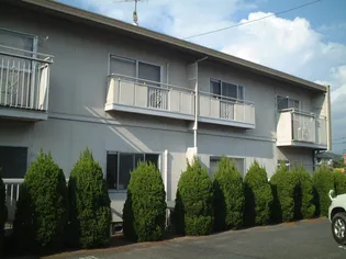 タウニィ樹の画像