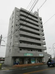 愛知県名古屋市守山区町南【マンション】の外観
