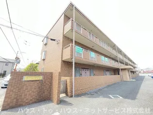 モアルヤタ藤の画像