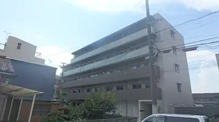 パーク フォレストの画像