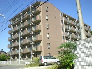 APEX FLAT R【1階】の外観