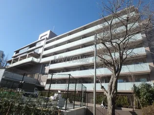 スタイリオ梶が谷【7階】の外観