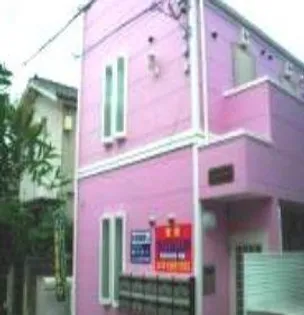 シエスタパンジーの画像