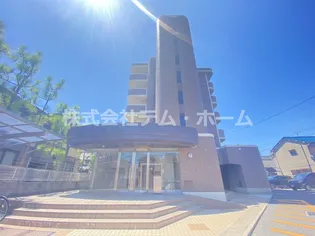 ハイグレイスの画像