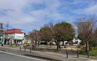 神奈川県相模原市南区相模大野6【アパート】の外観