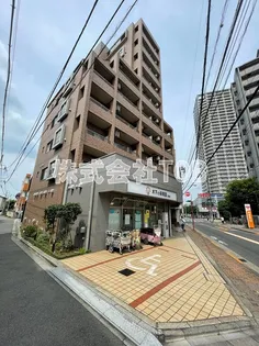 ジェルソミーナの画像