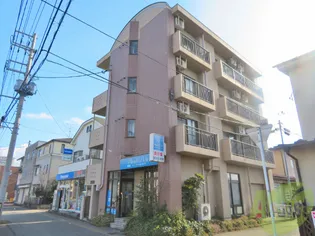 メゾンドレーヌ【3階】の外観