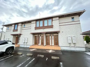 チェリーブロッサムの画像