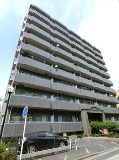 ヴェルティストンの画像