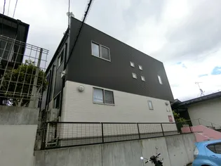 ステラトキの画像