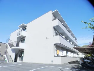 セントラルパークハイツ【2階】の外観