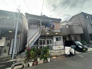 江瀬美文化の画像