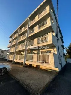 ホープス国府の画像