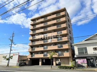 スカイパレス大安寺の画像