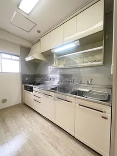 ハイツリヴァ・スター【6階】の外観