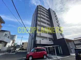 Mth GRANDE 新大江【7階】の外観