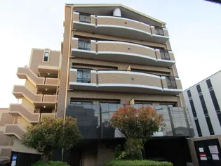 プラソーレの画像