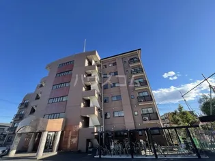 ミウパラストの画像