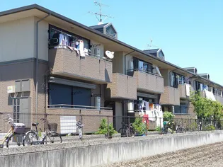 マドレ ミホの画像