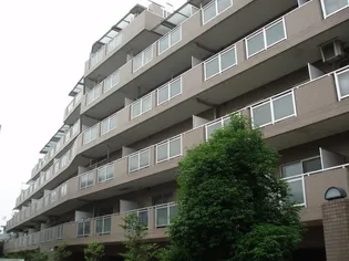 メゾンピアIIの画像