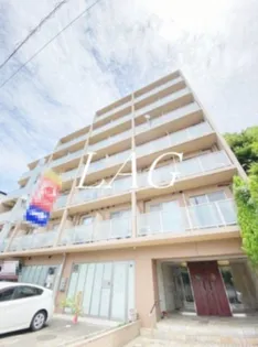 ベルパーシモンの画像