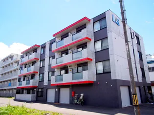 セントポーリアクラリスの画像