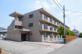 レピュート三井の画像