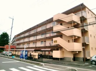 グリーン56【4階】の外観