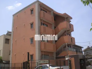 パレットM Tの画像