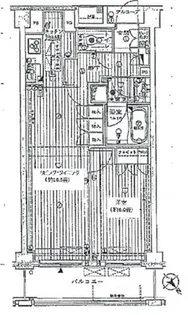 小石川ザ・レジデンスイーストスクエア【4階】の間取り