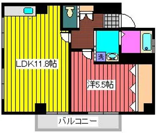 新井ビル(白山5丁目)【2階】の間取り