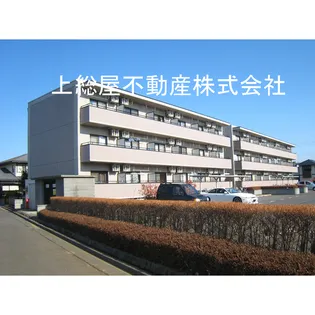 KAさくらの画像