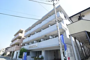 メゾン・ド・ビザール【4階】の外観