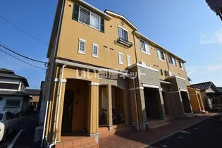 パルムドールの画像