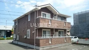 プラシードAの画像