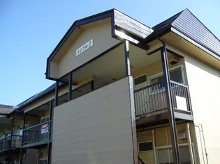 メイプル1の画像