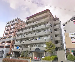 ノーム豊新の画像