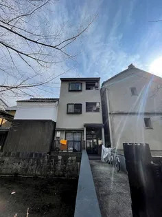 ミヤギの画像