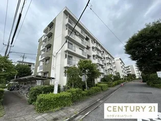 東鷲宮ニュータウン公園通りの画像
