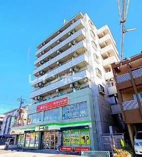 STEILARの画像