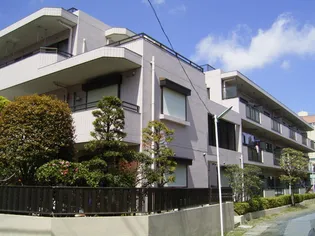 チェリーブラッサムの画像