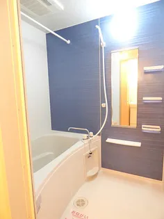 プラシードII【1階】の風呂